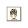 Picture of Princess Owl _GroupedProduct_Square_Mini_ _GroupedProduct_Square_Canvas_Framed_