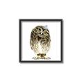 Picture of Princess Owl _GroupedProduct_Square_Mini_ _GroupedProduct_Square_Canvas_Framed_