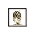 Picture of Princess Owl _GroupedProduct_Square_Mini_ _GroupedProduct_Square_Canvas_Framed_