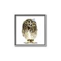 Picture of Princess Owl _GroupedProduct_Square_Mini_ _GroupedProduct_Square_Canvas_Framed_
