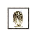 Picture of Princess Owl _GroupedProduct_Square_Mini_ _GroupedProduct_Square_Canvas_Framed_