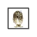 Picture of Princess Owl _GroupedProduct_Square_Mini_ _GroupedProduct_Square_Canvas_Framed_
