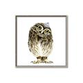 Picture of Princess Owl _GroupedProduct_Square_Mini_ _GroupedProduct_Square_Canvas_Framed_