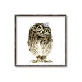 Picture of Princess Owl _GroupedProduct_Square_Mini_ _GroupedProduct_Square_Canvas_Framed_
