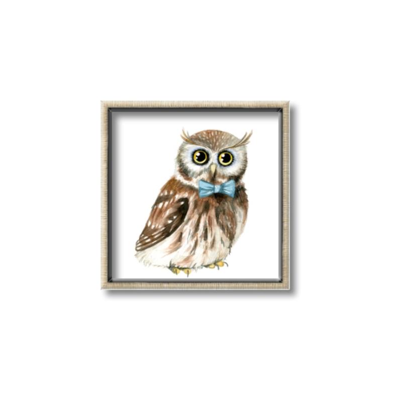 Picture of Oliver The Owl _GroupedProduct_Square_Mini_ _GroupedProduct_Square_Canvas_Framed_