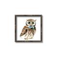 Picture of Oliver The Owl _GroupedProduct_Square_Mini_ _GroupedProduct_Square_Canvas_Framed_