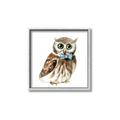 Picture of Oliver The Owl _GroupedProduct_Square_Mini_ _GroupedProduct_Square_Canvas_Framed_