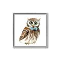 Picture of Oliver The Owl _GroupedProduct_Square_Mini_ _GroupedProduct_Square_Canvas_Framed_
