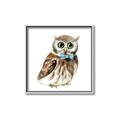 Picture of Oliver The Owl _GroupedProduct_Square_Mini_ _GroupedProduct_Square_Canvas_Framed_