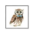 Picture of Oliver The Owl _GroupedProduct_Square_Mini_ _GroupedProduct_Square_Canvas_Framed_