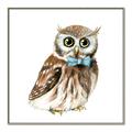 Picture of Oliver The Owl _GroupedProduct_Square_Mini_ _GroupedProduct_Square_Canvas_Framed_