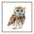 Picture of Oliver The Owl _GroupedProduct_Square_Mini_ _GroupedProduct_Square_Canvas_Framed_