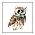 Picture of Oliver The Owl _GroupedProduct_Square_Mini_ _GroupedProduct_Square_Canvas_Framed_