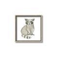 Picture of Baby Raccoon _GroupedProduct_Square_Mini_ _GroupedProduct_Square_Canvas_Framed_
