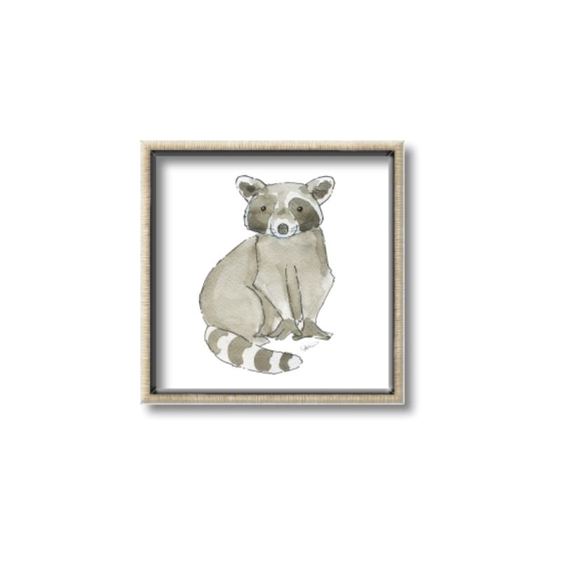 Picture of Baby Raccoon _GroupedProduct_Square_Mini_ _GroupedProduct_Square_Canvas_Framed_