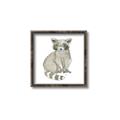 Picture of Baby Raccoon _GroupedProduct_Square_Mini_ _GroupedProduct_Square_Canvas_Framed_