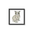 Picture of Baby Raccoon _GroupedProduct_Square_Mini_ _GroupedProduct_Square_Canvas_Framed_