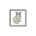 Picture of Baby Raccoon _GroupedProduct_Square_Mini_ _GroupedProduct_Square_Canvas_Framed_
