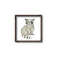Picture of Baby Raccoon _GroupedProduct_Square_Mini_ _GroupedProduct_Square_Canvas_Framed_