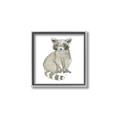 Picture of Baby Raccoon _GroupedProduct_Square_Mini_ _GroupedProduct_Square_Canvas_Framed_