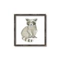 Picture of Baby Raccoon _GroupedProduct_Square_Mini_ _GroupedProduct_Square_Canvas_Framed_