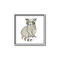 Picture of Baby Raccoon _GroupedProduct_Square_Mini_ _GroupedProduct_Square_Canvas_Framed_