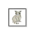 Picture of Baby Raccoon _GroupedProduct_Square_Mini_ _GroupedProduct_Square_Canvas_Framed_