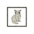 Picture of Baby Raccoon _GroupedProduct_Square_Mini_ _GroupedProduct_Square_Canvas_Framed_