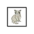 Picture of Baby Raccoon _GroupedProduct_Square_Mini_ _GroupedProduct_Square_Canvas_Framed_