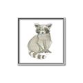 Picture of Baby Raccoon _GroupedProduct_Square_Mini_ _GroupedProduct_Square_Canvas_Framed_