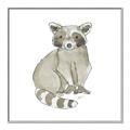 Picture of Baby Raccoon _GroupedProduct_Square_Mini_ _GroupedProduct_Square_Canvas_Framed_