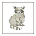 Picture of Baby Raccoon _GroupedProduct_Square_Mini_ _GroupedProduct_Square_Canvas_Framed_