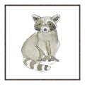 Picture of Baby Raccoon _GroupedProduct_Square_Mini_ _GroupedProduct_Square_Canvas_Framed_