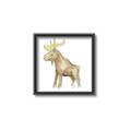 Picture of Baby moose _GroupedProduct_Square_Mini_ _GroupedProduct_Square_Canvas_Framed_