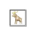 Picture of Baby moose _GroupedProduct_Square_Mini_ _GroupedProduct_Square_Canvas_Framed_