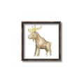 Picture of Baby moose _GroupedProduct_Square_Mini_ _GroupedProduct_Square_Canvas_Framed_