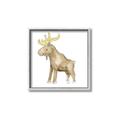 Picture of Baby moose _GroupedProduct_Square_Mini_ _GroupedProduct_Square_Canvas_Framed_