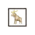 Picture of Baby moose _GroupedProduct_Square_Mini_ _GroupedProduct_Square_Canvas_Framed_