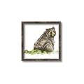 Picture of Bear in grass _GroupedProduct_Square_Mini_ _GroupedProduct_Square_Canvas_Framed_