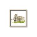 Picture of Bunny in grass _GroupedProduct_Square_Mini_ _GroupedProduct_Square_Canvas_Framed_