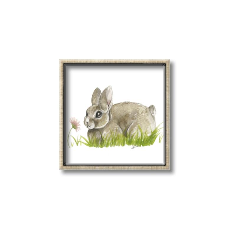 Picture of Bunny in grass _GroupedProduct_Square_Mini_ _GroupedProduct_Square_Canvas_Framed_