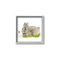 Picture of Bunny in grass _GroupedProduct_Square_Mini_ _GroupedProduct_Square_Canvas_Framed_