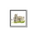 Picture of Bunny in grass _GroupedProduct_Square_Mini_ _GroupedProduct_Square_Canvas_Framed_