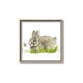 Picture of Bunny in grass _GroupedProduct_Square_Mini_ _GroupedProduct_Square_Canvas_Framed_