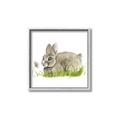 Picture of Bunny in grass _GroupedProduct_Square_Mini_ _GroupedProduct_Square_Canvas_Framed_