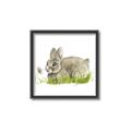 Picture of Bunny in grass _GroupedProduct_Square_Mini_ _GroupedProduct_Square_Canvas_Framed_
