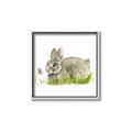 Picture of Bunny in grass _GroupedProduct_Square_Mini_ _GroupedProduct_Square_Canvas_Framed_