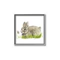 Picture of Bunny in grass _GroupedProduct_Square_Mini_ _GroupedProduct_Square_Canvas_Framed_