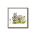 Picture of Bunny in grass _GroupedProduct_Square_Mini_ _GroupedProduct_Square_Canvas_Framed_