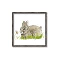 Picture of Bunny in grass _GroupedProduct_Square_Mini_ _GroupedProduct_Square_Canvas_Framed_